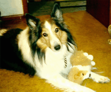 Cuddles and a toy