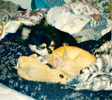 Susie and Bambi
