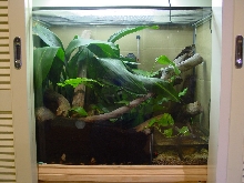 WTF vivarium