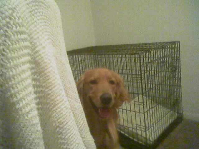 Coby