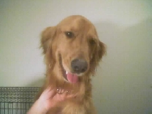 Coby