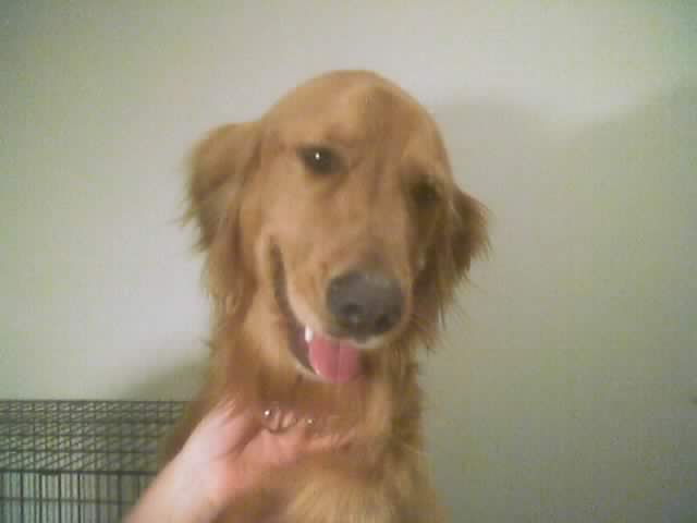 Coby
