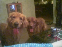 Heidi & Coby