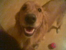 Coby