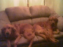HEIDI AND EMMA