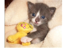 Baby lil jax