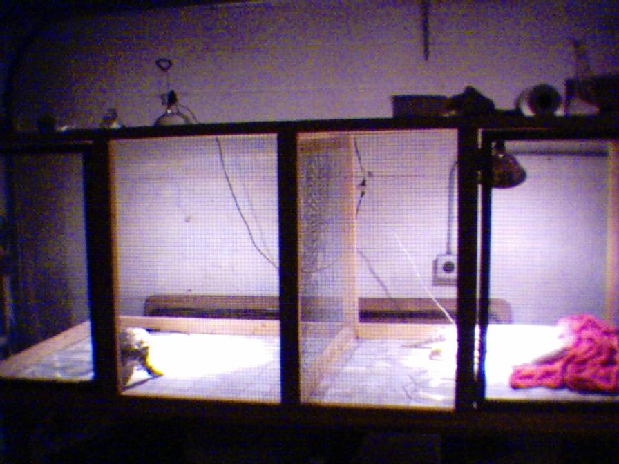 Homemade monitor cage