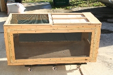 Collared Lizard Cage