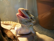 up close and...terrified! heh