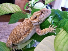 my buddy...