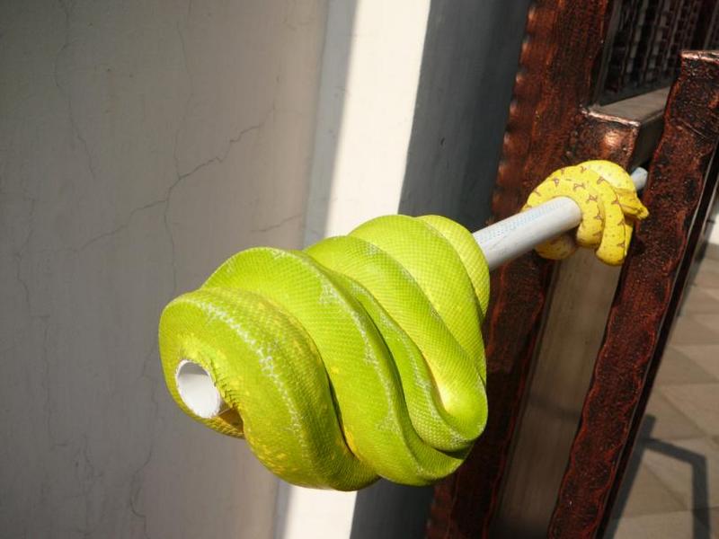 another lemon.... 4 sale