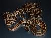 08 Black Pastel H.Pied