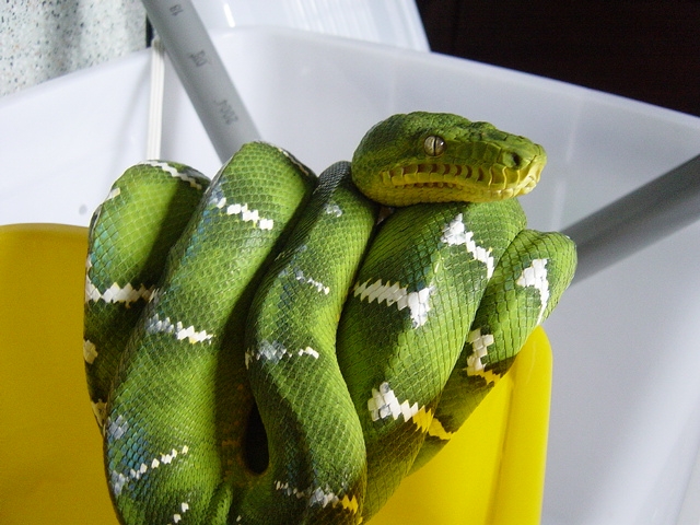 my Guyana ETB