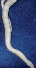Legolas2