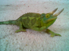 What u lookin at !