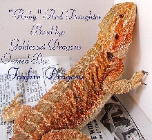 "Ruby" Red Daughter, GoldCoast Dragons