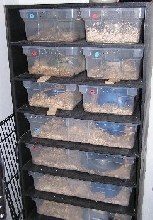 9-drawer, heated Boaphile rack and tubs