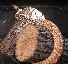 Male Golden Hypo Stillwater Bullsnake