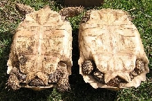 upside down view