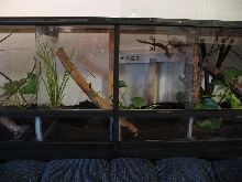 cell 2