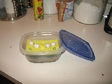 Incubator setup