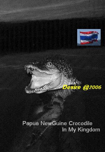 Papue