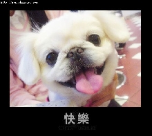 happy