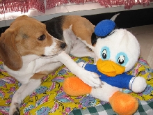 It is mine.