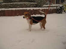 heavy snow