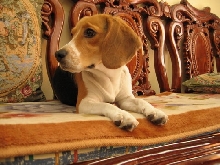 at home
