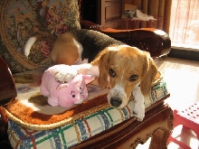 my friend