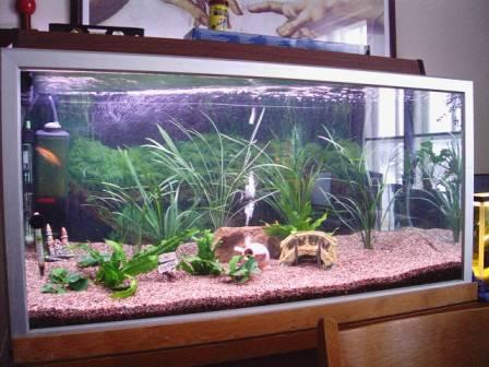 My 250 l tank again