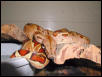 Monstertail Hypo