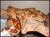 Monstertail Hypo