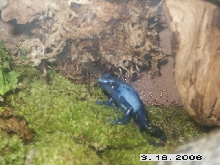 on the hunt