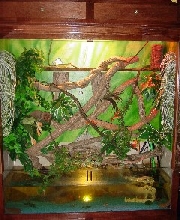 Cage