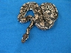 Axanthic