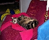 Ben on ;his back on his chair