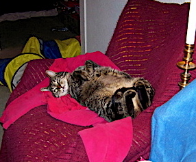Ben on ;his back on his chair