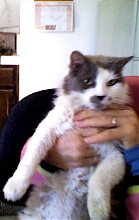 Tiny Miss Missy says "HELLO!"