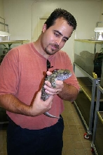 Wanker & Tuatara