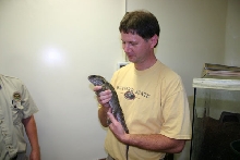 RW & Tuatara