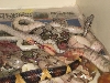 litter 1