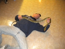 retic