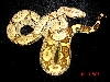 05 Jungle poss het