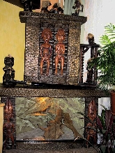 terrarium - pogona