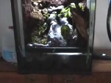 Finished frog tank 2
