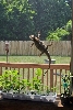 Homer rockin outside