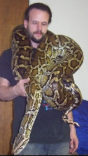 Snake-wad
