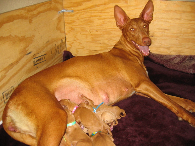 Sade is a Happy Mommy